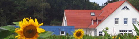 Foto: Ein Sonnenblumenfeld im Vordergrund, im Hintegrund das Gästehaus.
