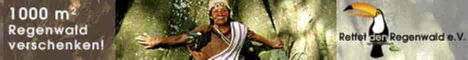 banner_10_regenwald_02