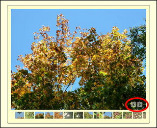 Bildschirmfoto: Diese Galeriebilder werden übergeblendet. Die Buttons in der roten Elipse rechts unten dienen der Navigation von Hand.