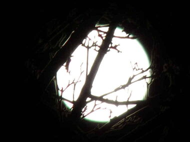 Dieser Link führt direkt zur ganz speziellen Galerie Vollmond 1.