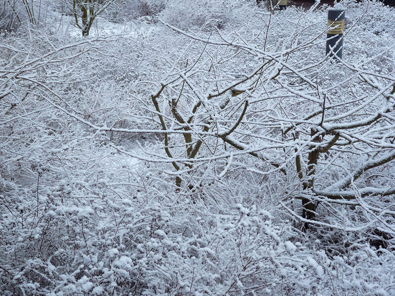 Foto: Weiße Schneelandschaften um meine Wohnung herum, wie sie winterlicher nicht sein könnten.