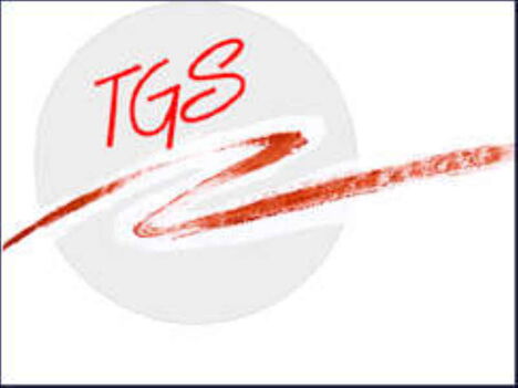 Grafik: Ein rotes "TGS" auf grauem Kreis auf weißem Hintergrund. Darunter ein roter Zackenblitz.