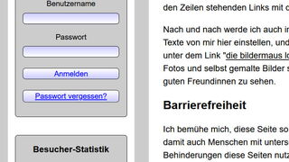 Bildschirmfoto: Das mittlere der drei grauen Felder mit dem blauen Button "Anmelden" zur Bestätigung einer Eingabe.