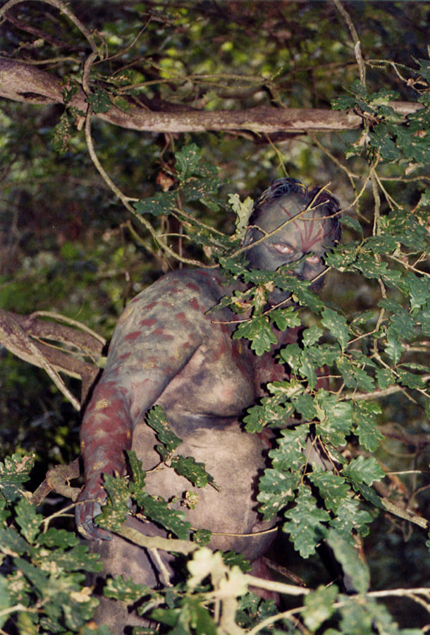 Foto: Ein Waldwesen huscht getarnt durch's Gebüsch.