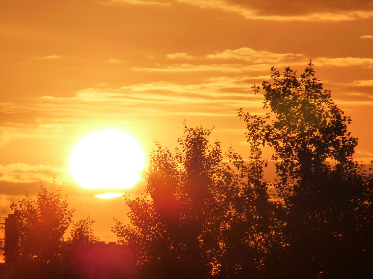Foto: Die Sonne strahlt mit voller Kraft über Bäumen.