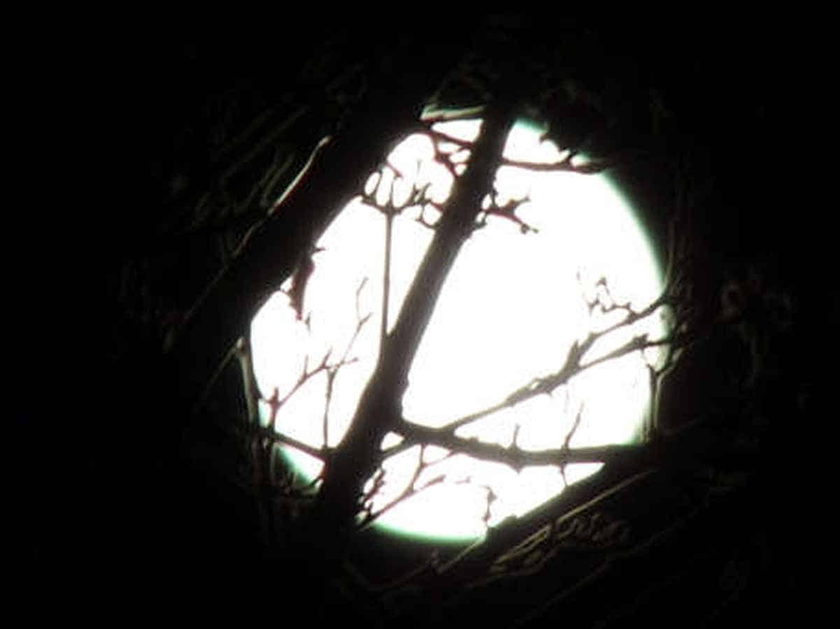 Foto: Der Mond erobert den Himmel.