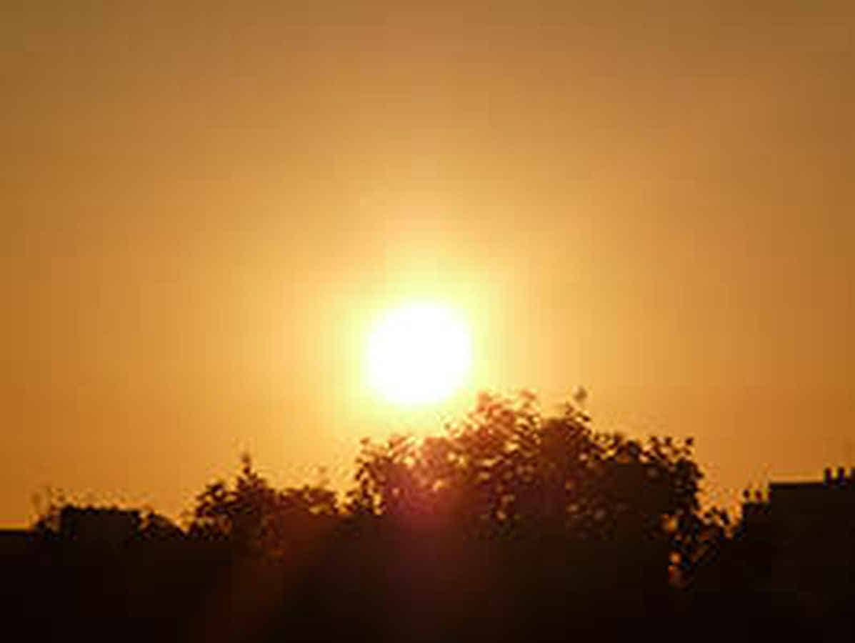 Foto: Die gleißende Sonne über Baumkronen kurz nach Sonnenaufgang.